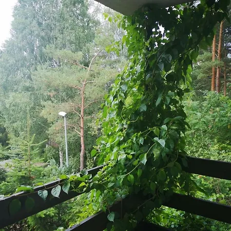 Wymoj Zaprasza Na Grzyby I Ryby. Cisza I Spokoj. Wypoczynek.