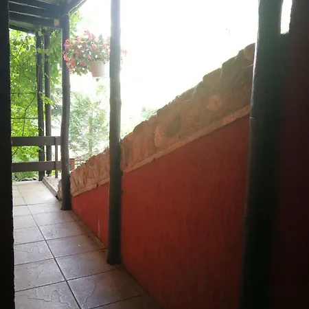 Wymoj Zaprasza Na Grzyby I Ryby. Cisza I Spokoj. Wypoczynek. * Stawiguda