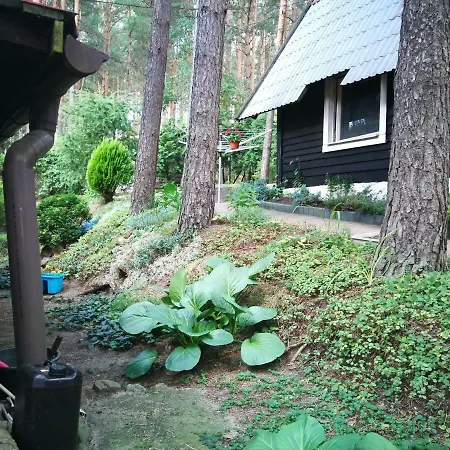 Wymoj Zaprasza Na Grzyby I Ryby. Cisza I Spokoj. Wypoczynek. Stawiguda