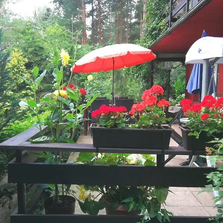 Apartmán Wymoj Zaprasza Na Grzyby I Ryby. Cisza I Spokoj. Wypoczynek. *