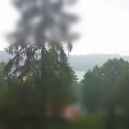 Wymoj Zaprasza Na Grzyby I Ryby. Cisza I Spokoj. Wypoczynek. Stawiguda